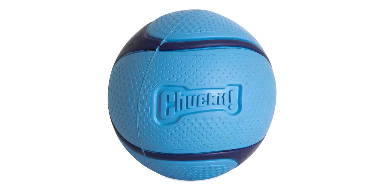 Chuckit! Bacon Sniff Fetch Ball