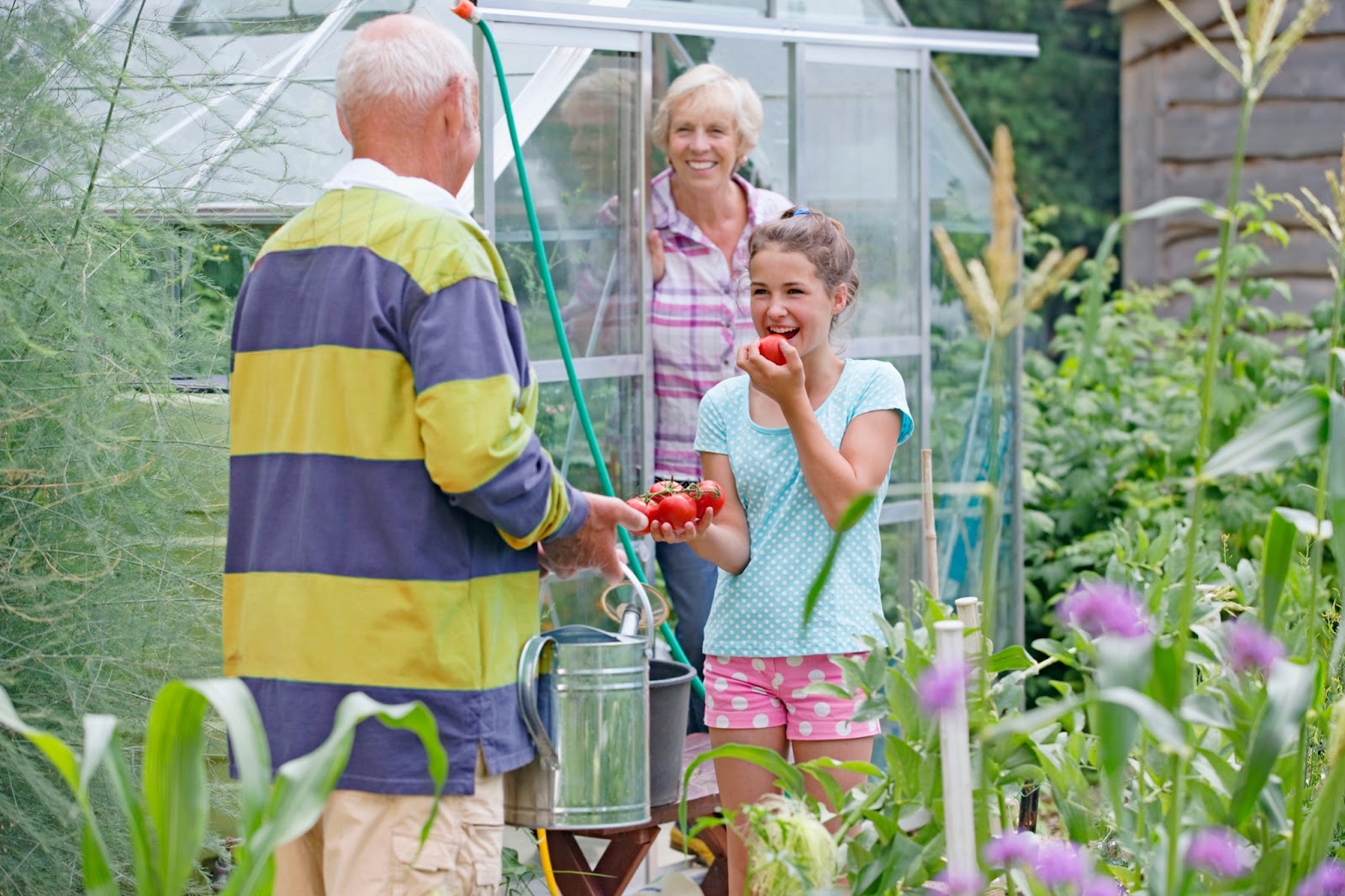 Granddaughter visiting her grandparents in their personal care home garden, eating a tomato.