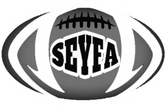 A logo of a football
Description automatically generated