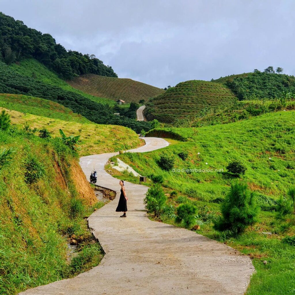 Second Home tại Lâm Đồng. Làng Mây B'lao - Bảo Lộc
