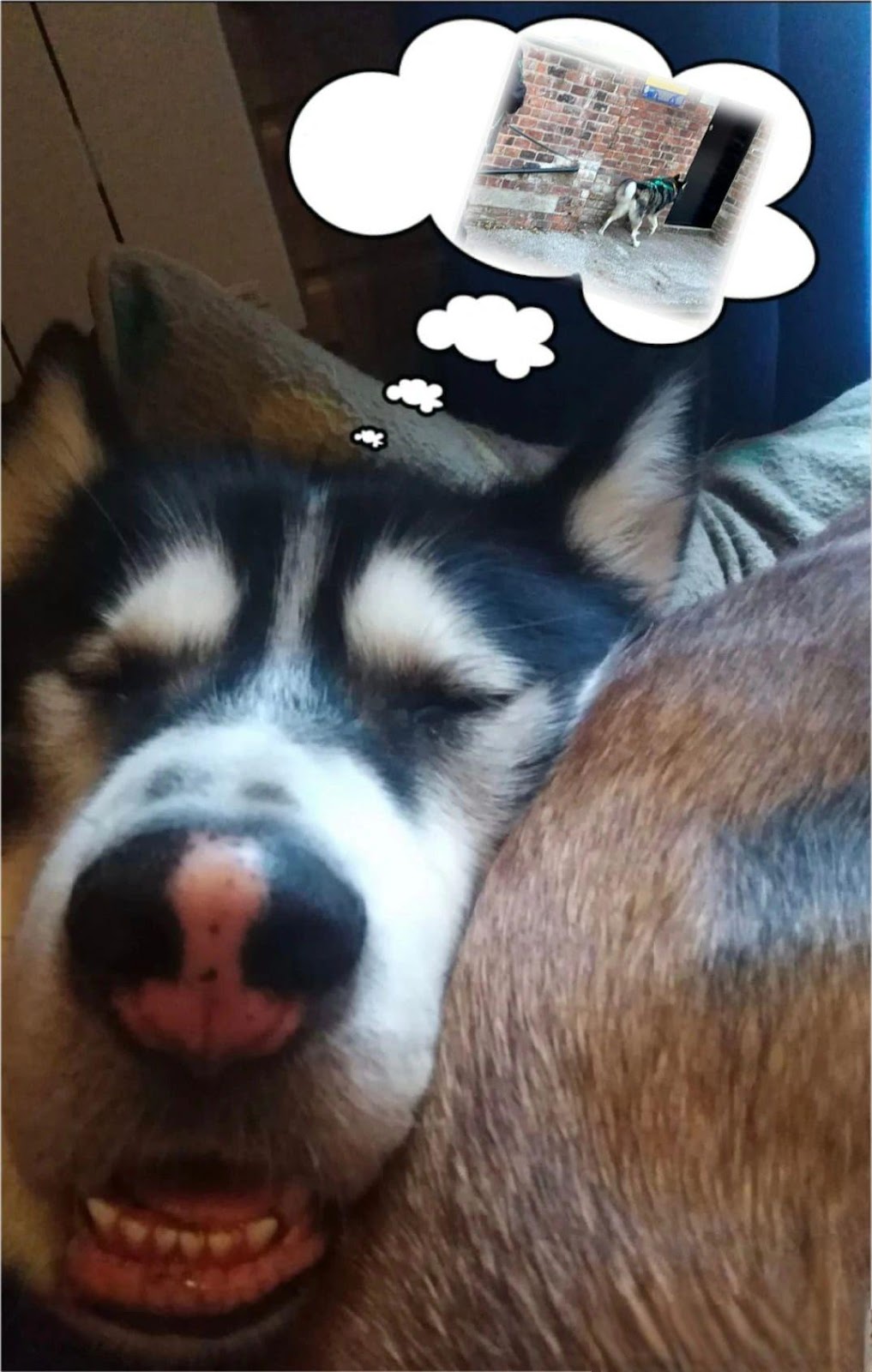 Ares dreaming of another trailing session