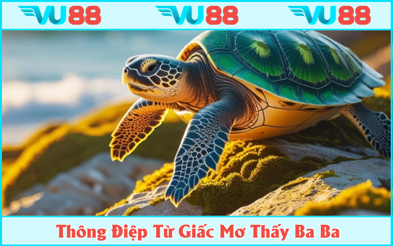 Giải mã thông điệp từ giấc mơ thấy ba ba