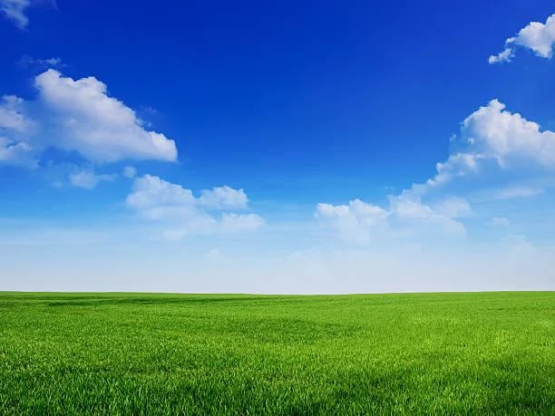 15 Desert Landscapes Full of Contrast, desert contrast, arid beauty, nature, forest, landscape, sand, rock, sky tension