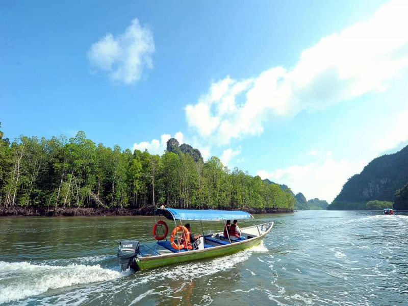 Top Attractions and Activities in Langkawi Island mangrove tour