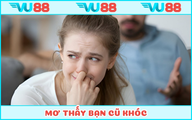 Chiêm bao tri kỉ cũ rơi lệ