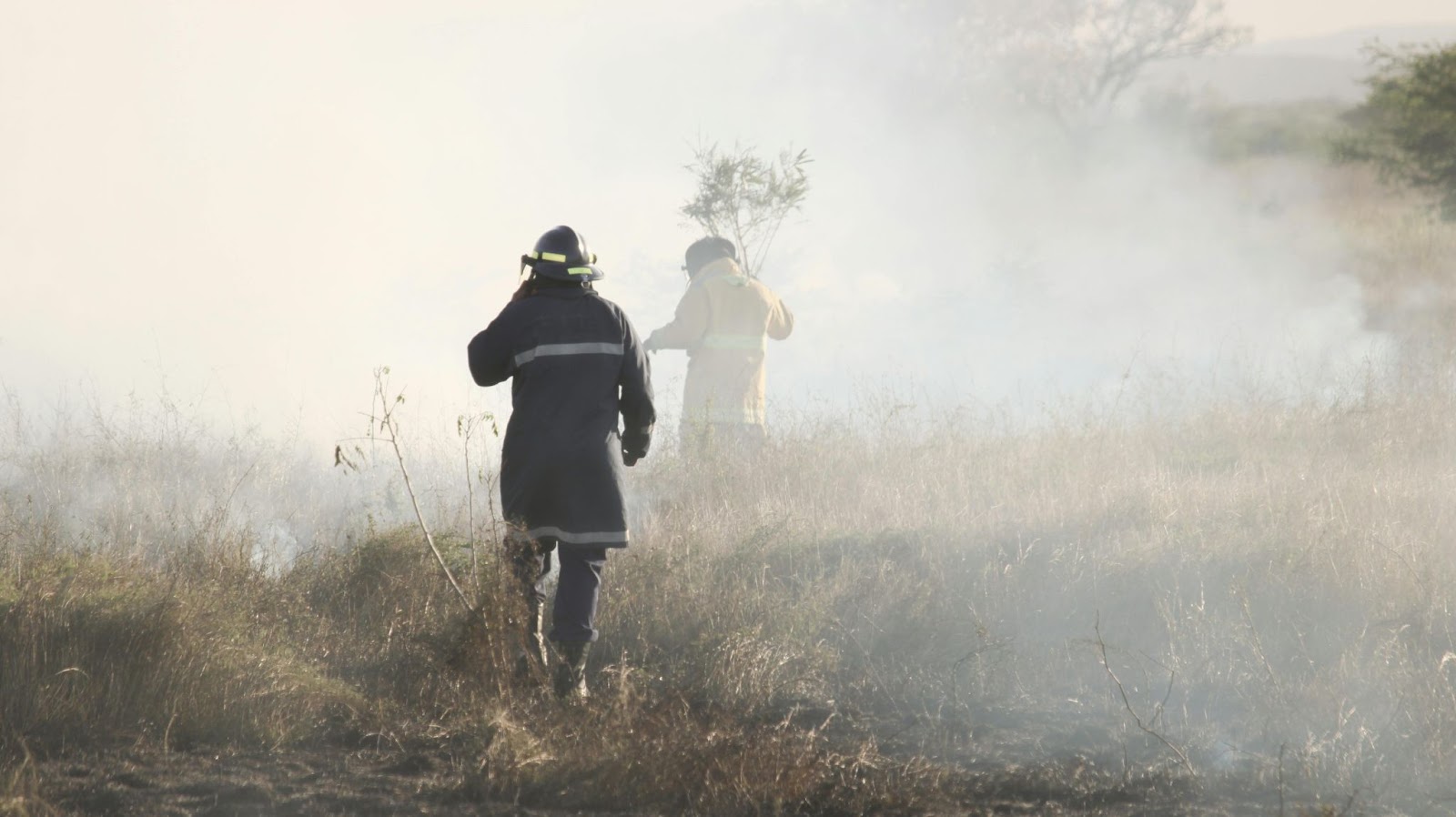 Preventing Bushfires