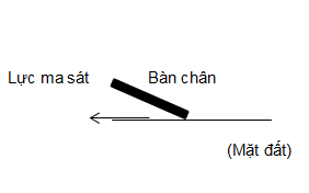 BÀI 28: LỰC MA SÁTPHẦN MỞ ĐẦUCâu 1: Lực nào làm khối gỗ trên hình 28.1 dừng lại?Giải nhanh: Lực ma sát giữa khối gỗ và mặt sàn.I. LỰC MA SÁT TRƯỢT Câu 1: Ví dụ về lực ma sát trượt trong khoa học và đời sốngGiải nhanh: - Ma sát giữa bánh xe và mặt đường để dừng chuyển động.- Lực ma sát giữa các chi tiết máy trượt trên nhau là lực ma sát trượt.- Khi ta viết phấn lên bảng thì giữa đầu viên phấn với mặt bảng có lực ma sát trượt. I. LỰC MA SÁT NGHỈCâu 1: Vì sao trong thí nghiệm này, dù có lực kéo nhưng khối gỗ vẫn đứng yên?Giải nhanh: Vì  lực đẩy nhỏ hơn lực ma sát trượtCâu 2: Hãy tưởng tượng em đẩy một hộp trượt trên sàn nhà. Ban đầu, khi hộp đứng yên, em cần đẩy mạnh để hộp chuyển động. Khi hộp đã bắt đầu chuyển động, em có thể đẩy nhẹ hơn mà hộp vẫn chuyển động. Em hãy giải thích vì sao lại như vậy.Giải nhanh: Vì độ lớn của lực ma sát trượt nhỏ hơn độ lớn của lực ma sát nghỉ cực đại.IV. MA SÁT VÀ CHUYỂN ĐỘNGCâu 1: Hãy tìm thêm ví dụ về lực ma sát cản trở chuyển động.Giải nhanh: Lực ma sát ở phanh xe máy và lực ma sát giữa lốp xe với đường làm xe máy chuyển động chậm dần và dừng lạiCâu 2: Hãy vẽ phác thảo bàn chân đẩy vào mặt đất theo hình 28.5. Vẽ một mũi tên biểu diễn lực ma sát giúp bàn chân không bị trượt.Giải nhanh: Câu 3: Hãy lấy ví dụ về việc ma sát giúp thúc đẩy chuyển động trong đời sống.Giải thích vì sao khi đi chân trần trên đường đất trơn thì rất khó đi, thậm chí không thể đi nổi.Giải nhanh: - Ví dụ: ma sát sinh ra khi quả bóng lăn trên sân; ma sát sinh ra ở các viên bi đệm giữa trục quay và ổ trục…- Vì đường đất trơn có độ ma sát kém. Câu 4: Hãy lấy ví dụ về ảnh hưởng của lực ma sát (có lợi và có hại) trong giao thông với các trường hợp sau đây:- Người đi bộ- Xe đạp chuyển động trên đường- Xe lửa (tàu hỏa) chạy trên đường rayGiải nhanh: - Người đi bộ: Giày đi nhiều, đế bị mòn do ma sát giữa mặt đường và đế giày, ma sát nghỉ giúp giữ bàn chân không bị trơn trượt khi đi trên đường- Xe đạp chuyển động trên đường: Khi phanh xe, bánh xe ngừng quay và mặt lốp trượt trên đường xuất hiện ma sát trượt làm xe dừng lại.- Xe lửa chạy trên đường ray: rải đá dăm lên đường ray, ma sát của đá giúp đường ray được cố định, giảm tải tốt hơn.V. VẬT CẢN CỦA NƯỚC