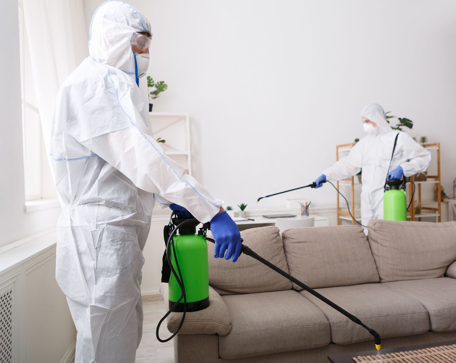 Pest control technicians applying treatment in living room.