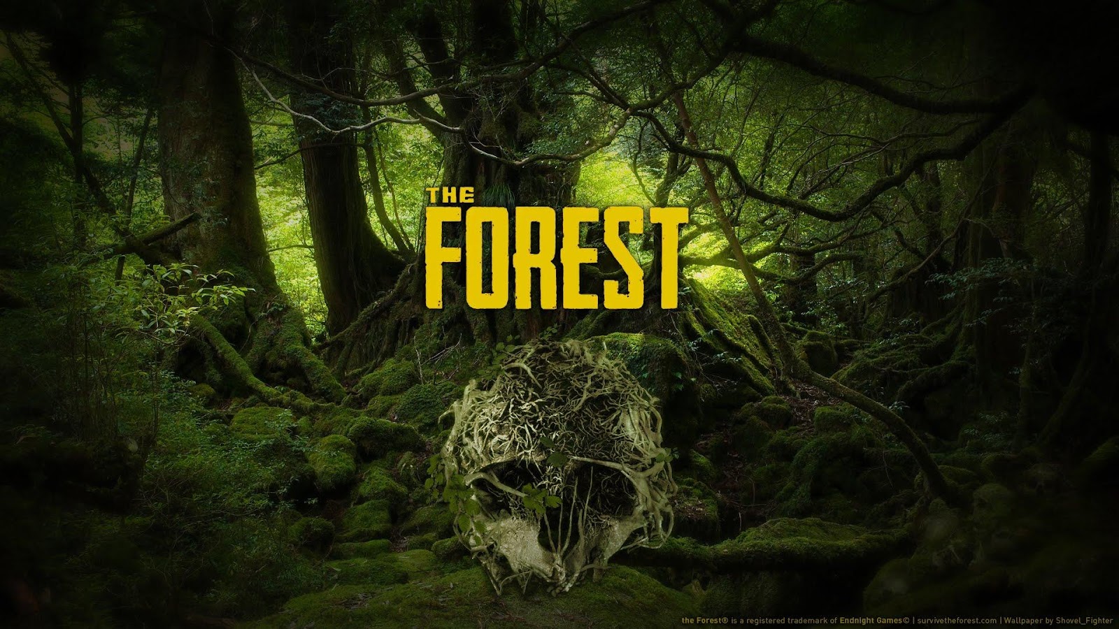 The Official Picture of The Forest, one of The best single player survival games