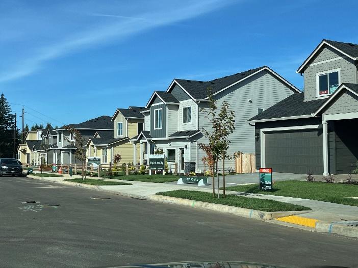 A row of houses on a street

Description automatically generated