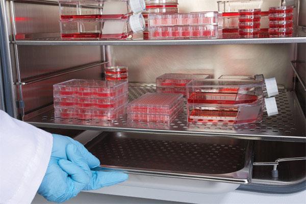 C:\Users\nicolaou.s\Dropbox\1. RESEARCH PROJECTS\EDUCATION\1. Strategic partnership\0. March 2023\WPs\WP3\Case studies\Case Study (CS14) - Cell culture\CS14-0 Loaded incubator.jpg