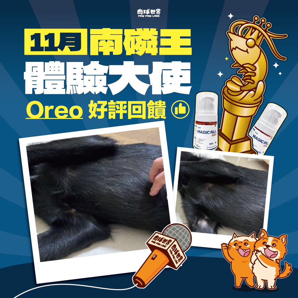 3. 2024年11月南磷王體驗大使│Oreo│好評回饋