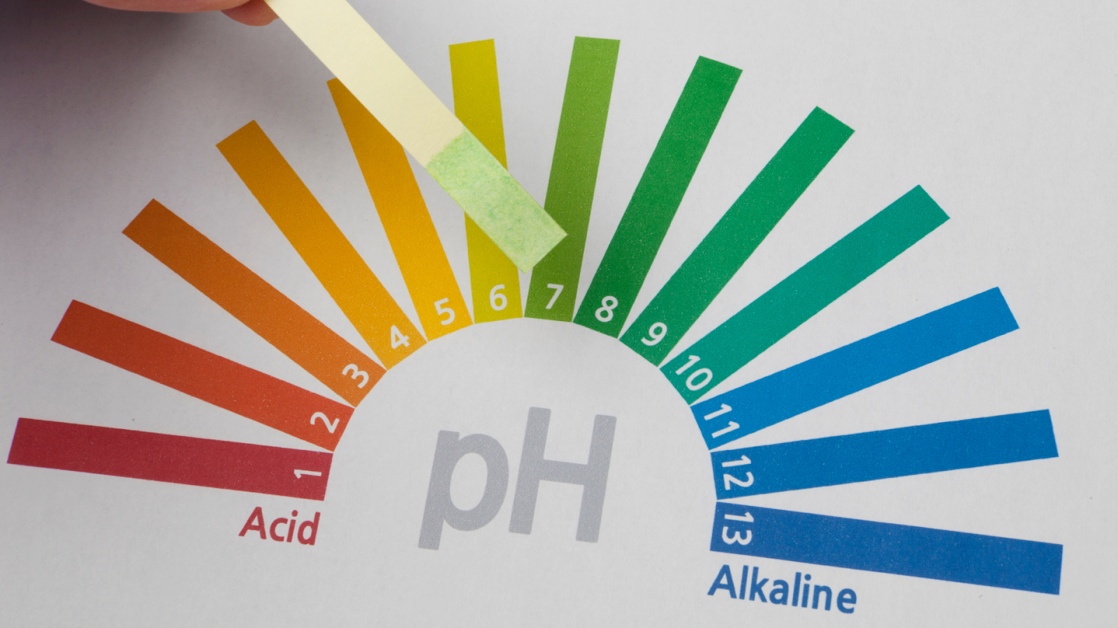 gambar pH paper test/Sumber: Canva