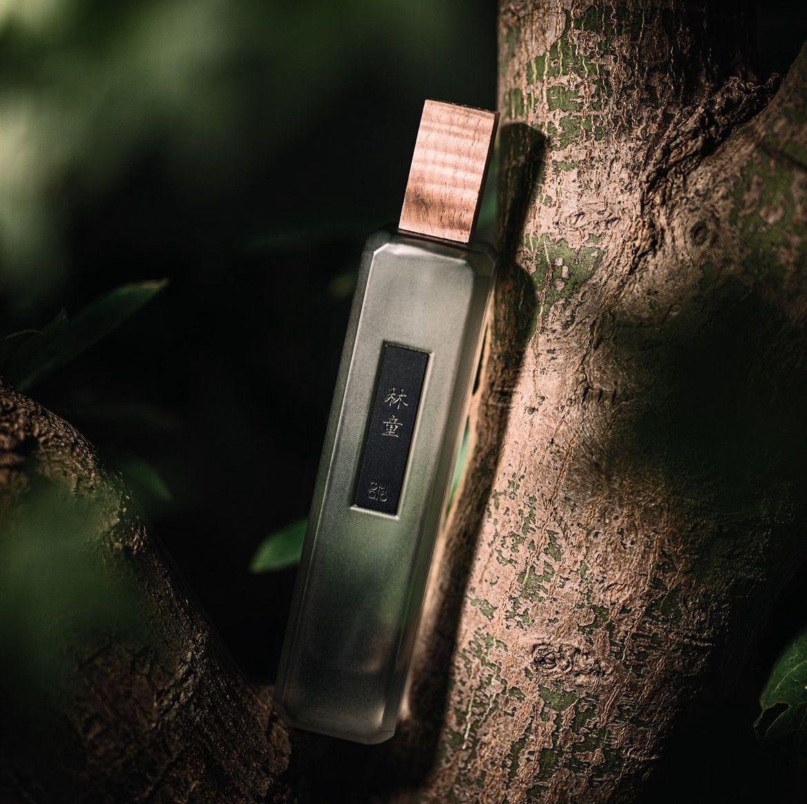 A bottle of perfume on a tree

Description automatically generated