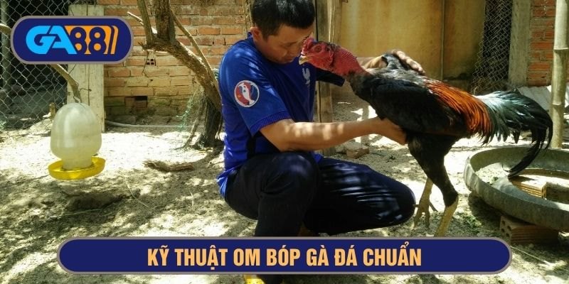 Thực hiện om bóp gà đá theo đúng quy trình và kỹ thuật