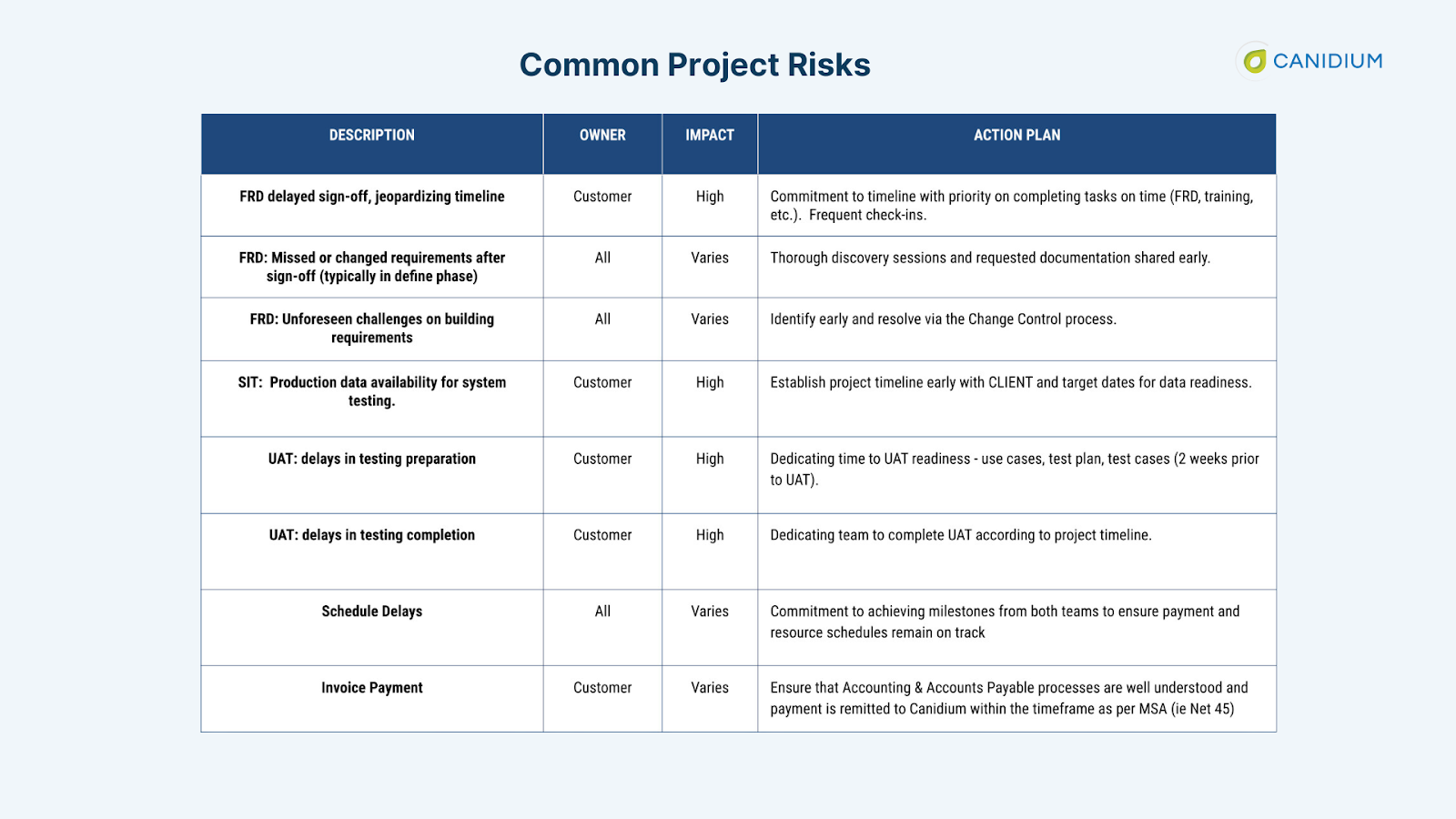 Common distribution management software project risks