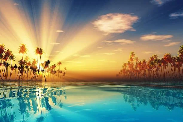 12 Sunset Hills Reflecting Golden Light, golden hills, evening shine, nature, forest, landscape, sunset slope, warm glow