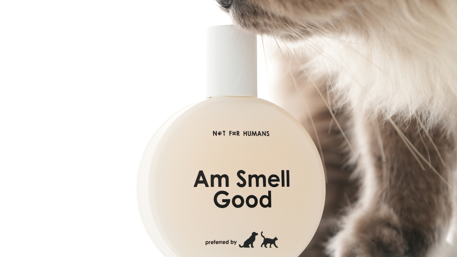 Parfum Not for Humans varian Am Smell Good