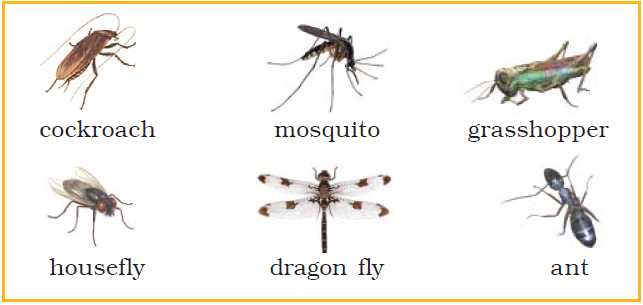 NCERT Solutions Class 7 English Unit 7 The Invention of Vita-Wonk - 1
