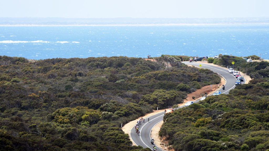 ly-do-ban-nen-den-voi-geelong