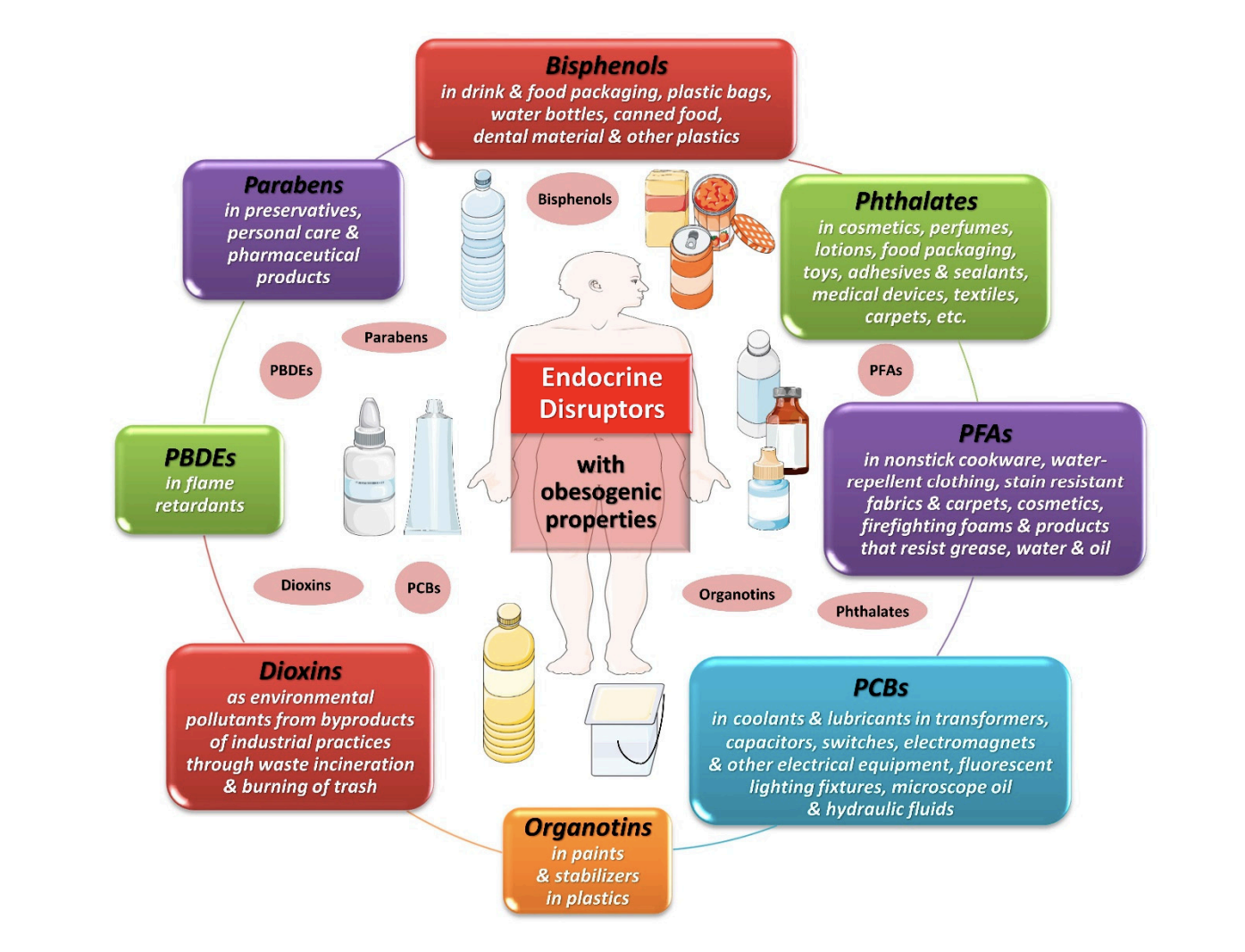 A diagram of a child's health

Description automatically generated