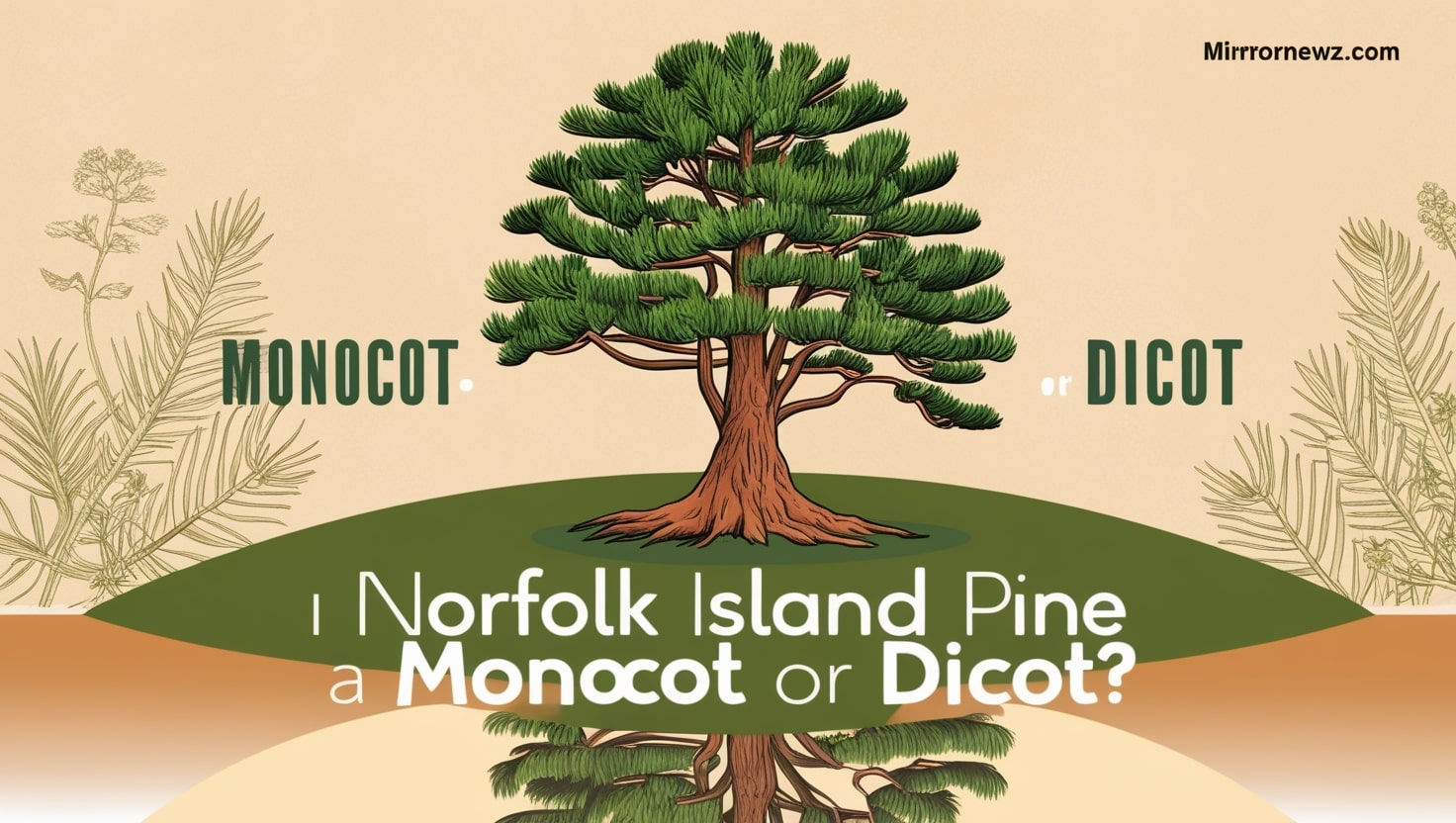 Is Norfolk Island Pine a Monocot or Dicot