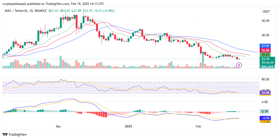 Grafico dei prezzi giornalieri ORDI/USD. Fonte TradingView