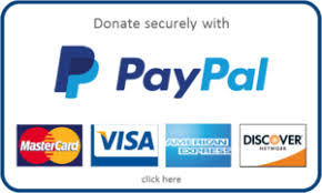 donate with paypal