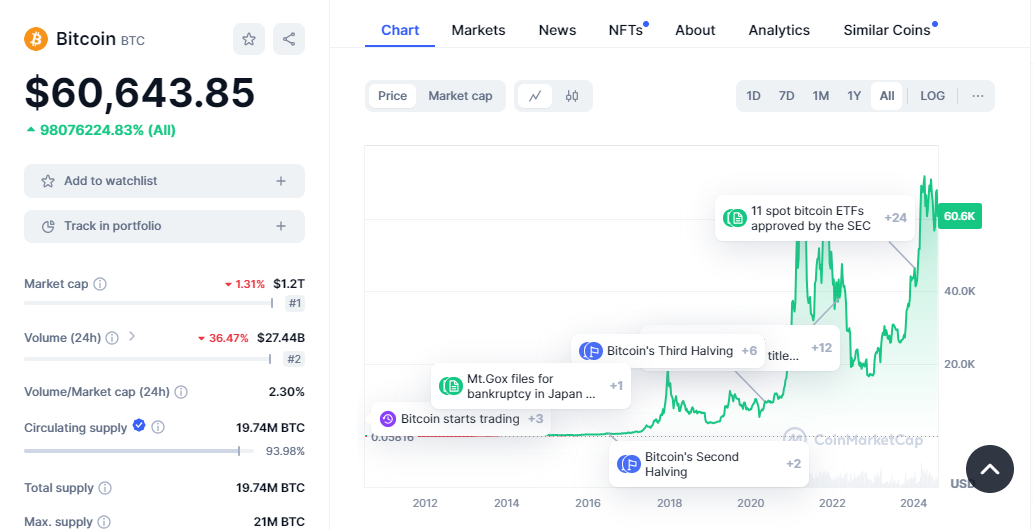 Bitcoin Chart on CoinMarketCap: https://coinmarketcap.com/currencies/bitcoin/