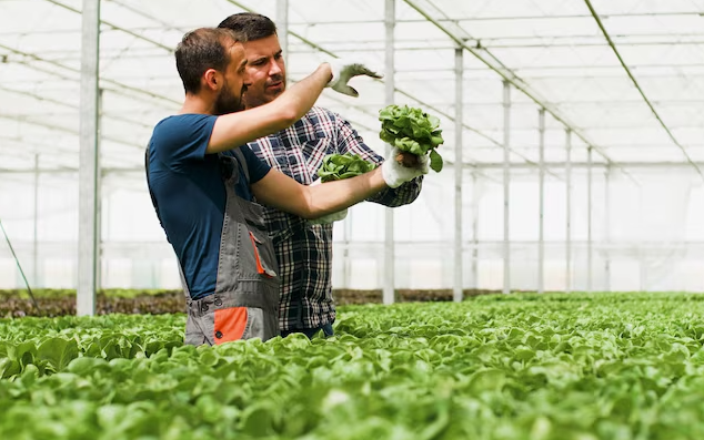 Incentives and Subsidies for Farmers
