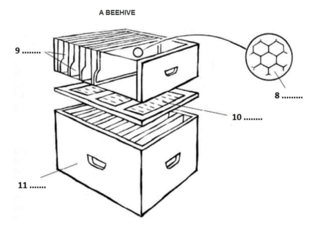 Migratory Beekeeping