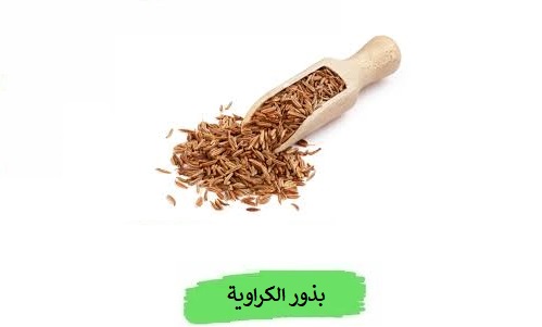 فهي نبتة طبية وعطرية تُستخدم في الطهي والطب الشعبي. وقد يُكتب اسمها خطأ "الكروية"، لذا من المحتمل أنك تقصد