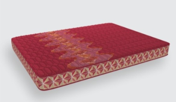 Coir mattress