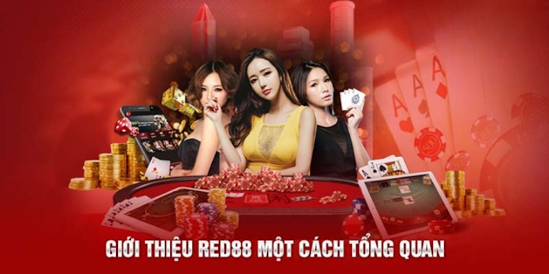 RED88 với các thông tin cơ bản về nhà cái uy tín