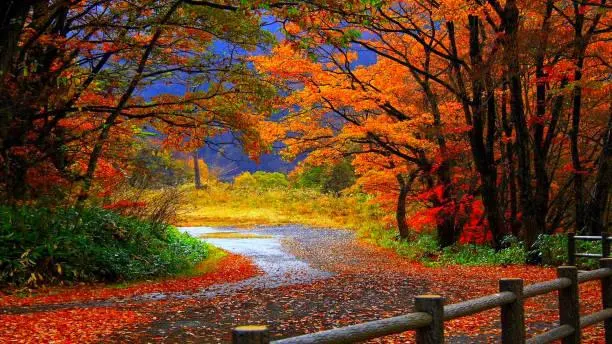 Scenes of Earth: 15 Nature Photos to Admire, earth scenes, admirable nature, nature, landscape, scenic pride, photo elegance