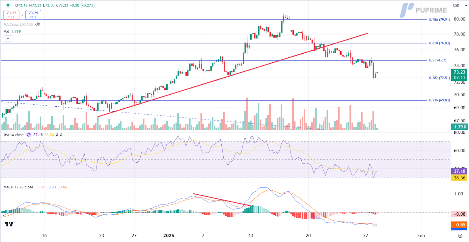 usoil 28/01/2025