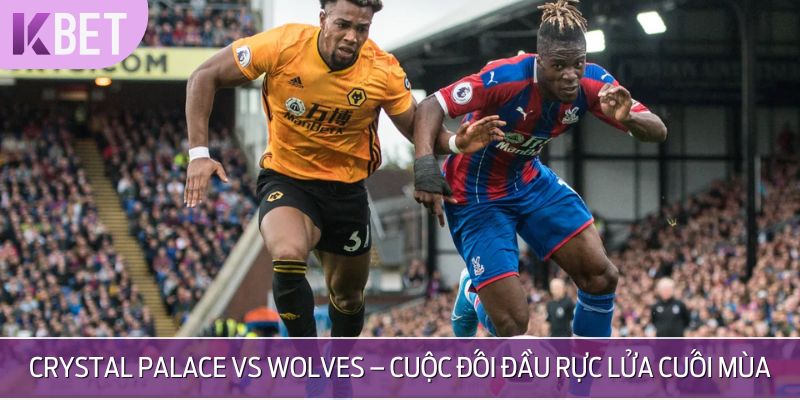 Tình hình thật sự của trận Crystal Palace vs Wolverhampton