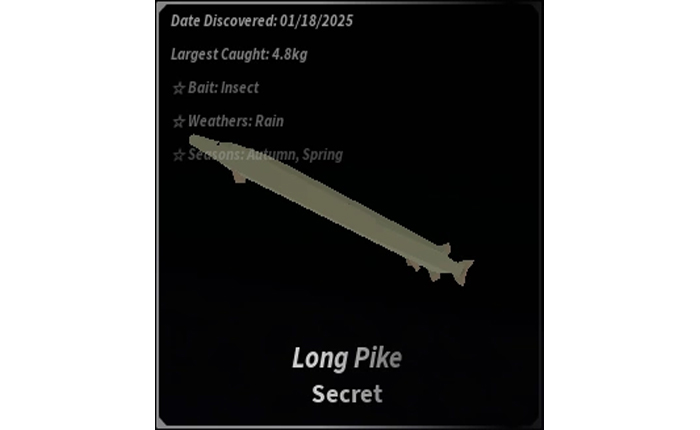 Secret Long Pike