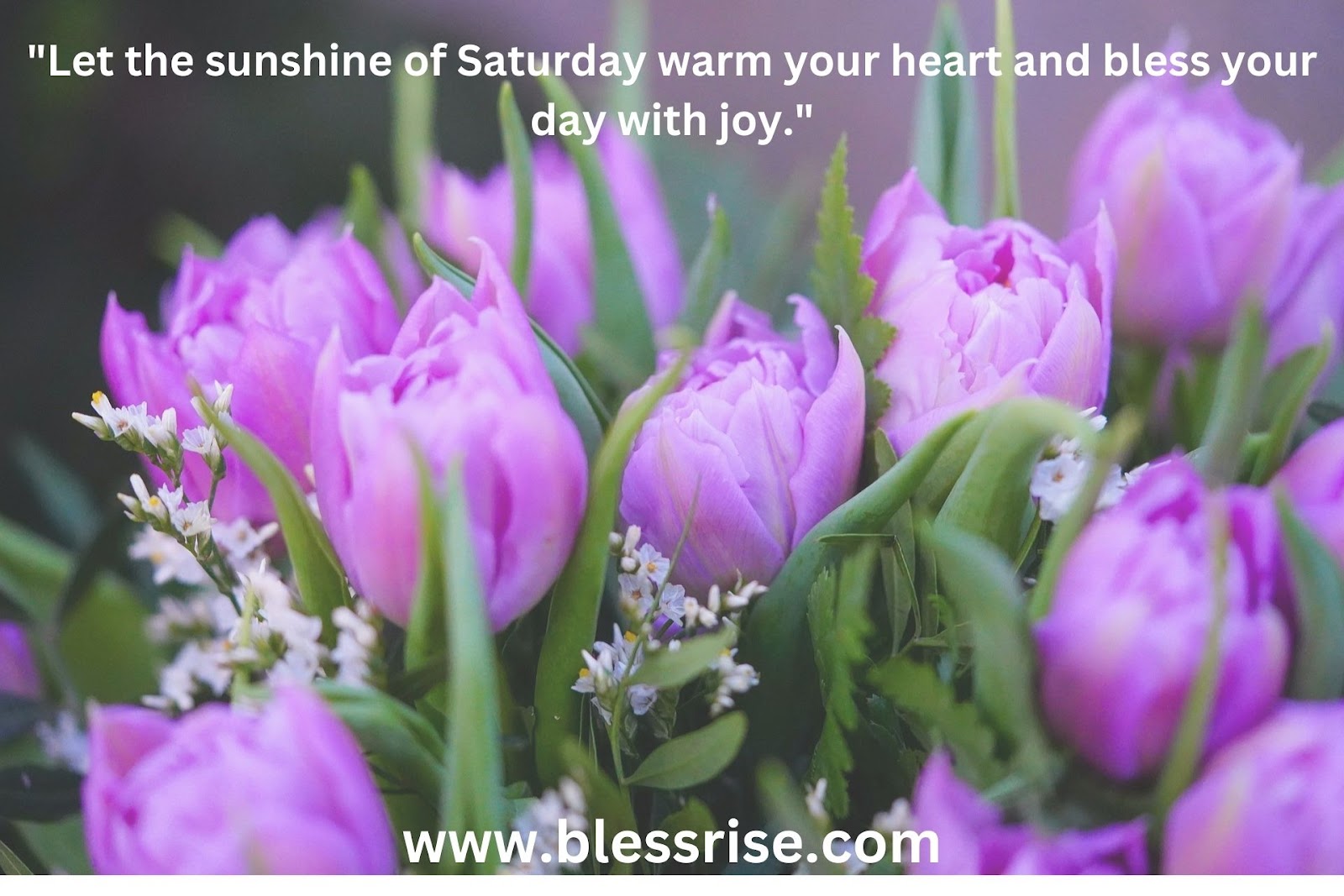 Saturday Blessings