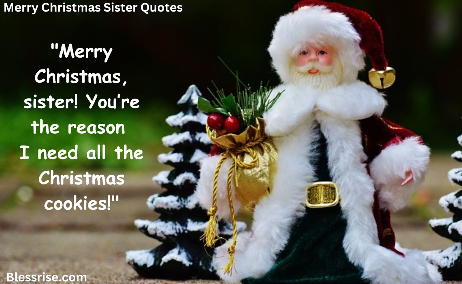 Christmas Quotes for Sisters