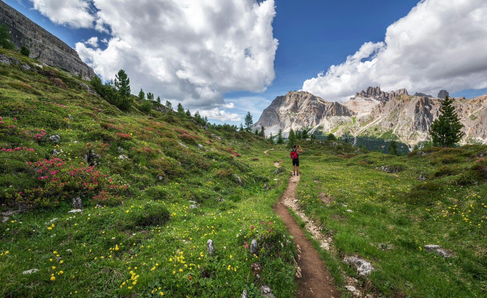 Wildflower Fields Hike