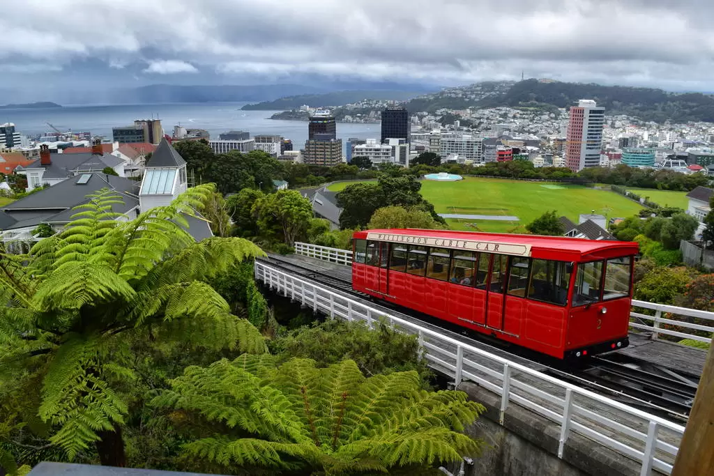 Cost of Transportation in Wellington