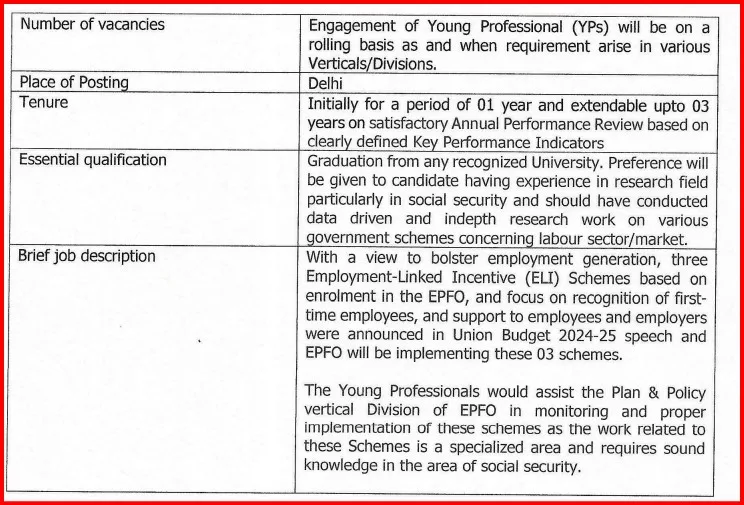 EPFO Young Professional Recruitment 2024 ✅ ईपीएफओ में यंग प्रोफेशनल के पदों पर निकली भर्ती