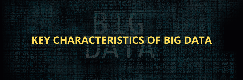 Key characteristics of Big Data.