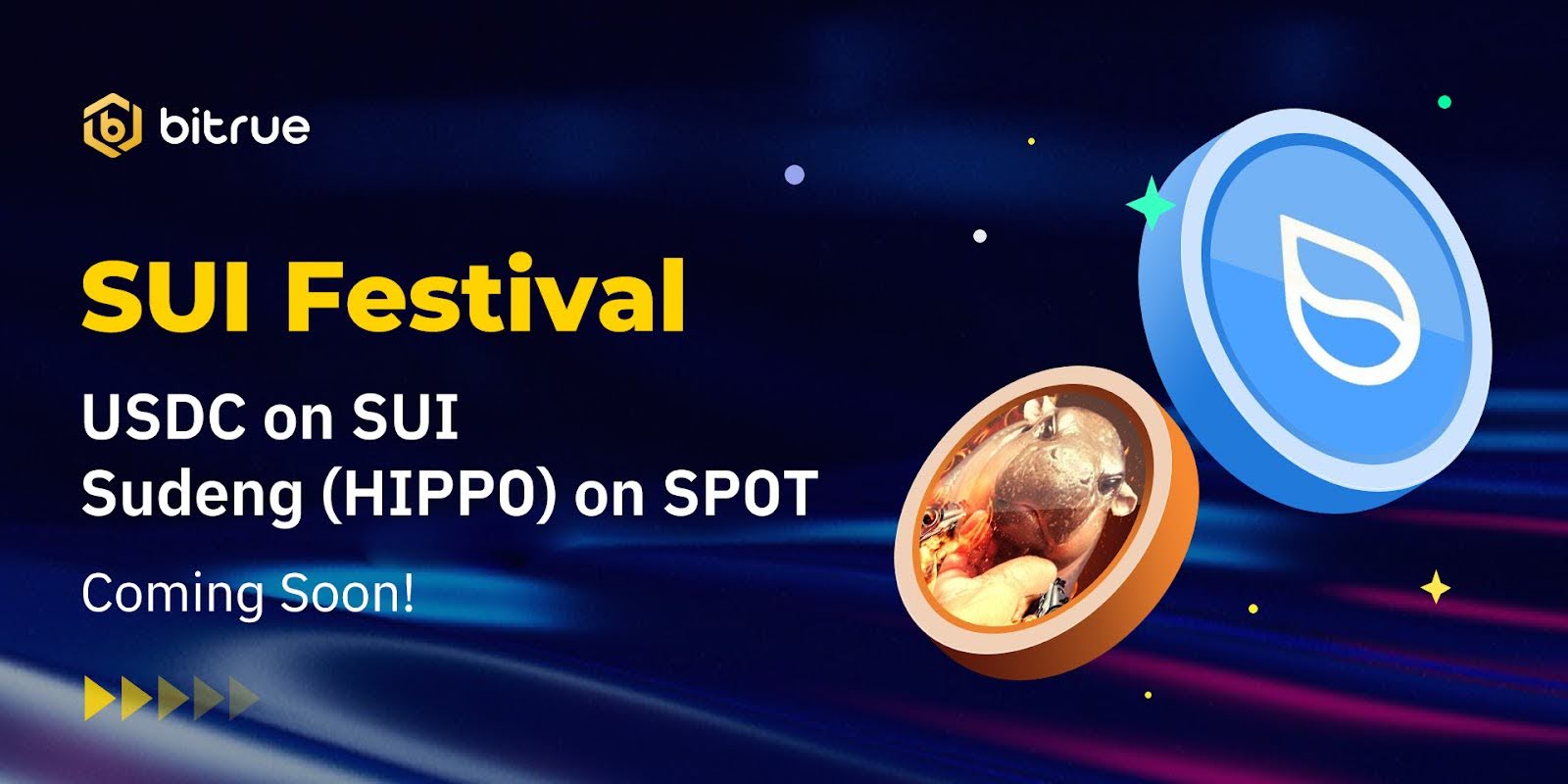 SUI Festivale in Bitrue.jpg