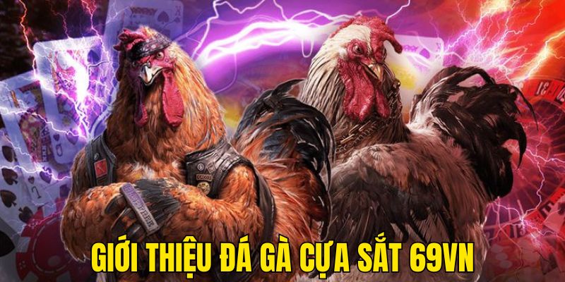 Giới thiệu sơ về đá gà cựa sắt trực tuyến tại 69VN