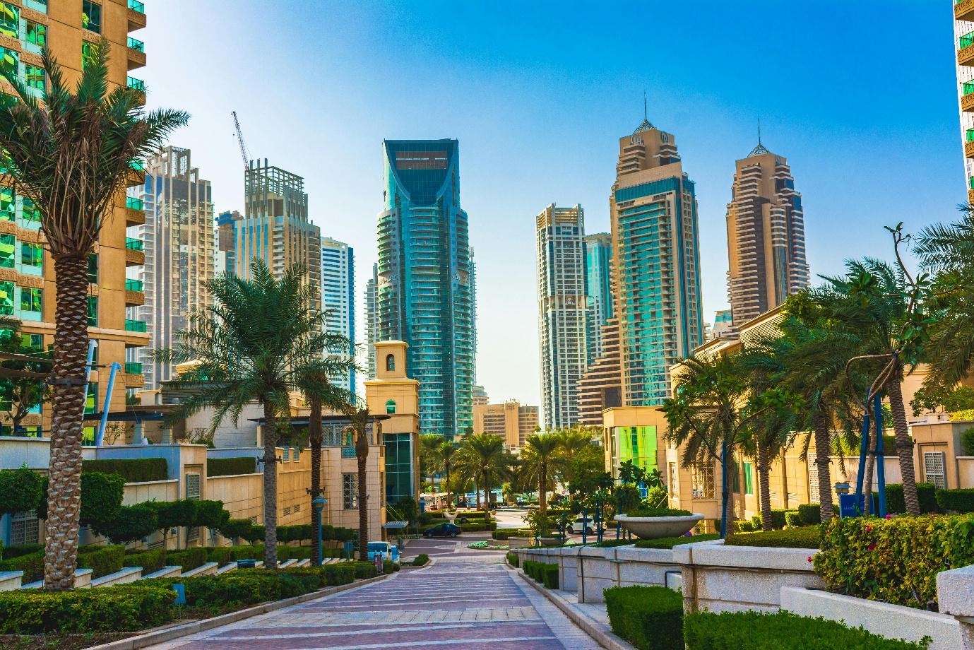 A dubai  street with trees and buildings in the background

