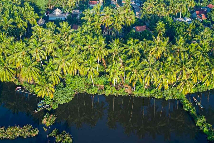 When mentioning Ben Tre, people often think of beautiful and peaceful countryside with lush green coconut groves. Source: Phuotvivu