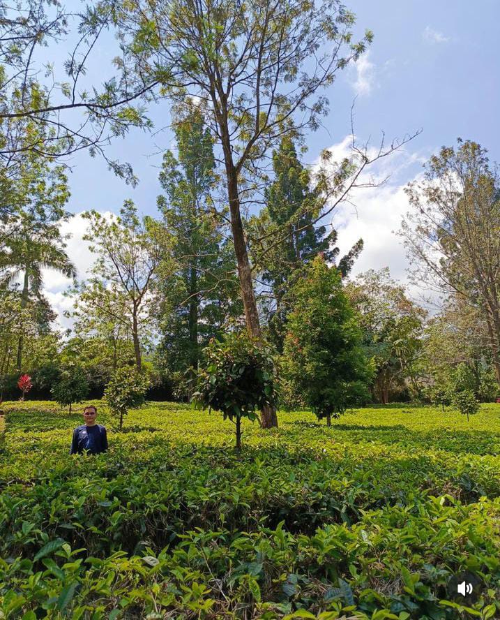 Wisata Gunung Mas