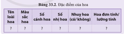 BÀI 33. SINH SẢN HỮU TÍNH Ở ĐỘNG VẬT MỞ ĐẦUCâu hỏi: Quan sát hình 32.1d và 32.3c, nêu sự khác nhau về hình thức sinh sản ở cá và sao biển. Cho biết tên hình thức sinh sản của cáĐáp án chuẩn:Ở cá, các cá thể mới được tạo ra nhờ sự kết hợp giữa con đực và cái qua thụ tinh. Ở sao biển, cá thể mới được tạo ra không có sự kết hợp giữa con đực và con cái. I. KHÁI NIỆM SINH SẢN HỮU TÍNHCâu 1: Lập bảng so sánh sinh sản vô tính và hữu tính theo gợi ý.Đáp án chuẩn:Giống: tạo ra các cá thể mới từ các thể ban đầuKhác:II. SINH SẢN HỮU TÍNH Ở THỰC VẬT CÓ HOACâu 2: Quan sát hình 33.1, mô tả các bộ phận của hoa lưỡng tính.Đáp án chuẩn:Đài hoa, cánh hoa, nhị hoa, nhuỵ hoa, noãn hoaCâu 3: Quan sát hình 33.2, nêu đặc điểm của hoa đơn tính. Phân biệt hoa đơn tính với hoa lưỡng tínhĐáp án chuẩn:Đặc điểm: chỉ chứa duy nhất một cơ quan sinh sản là đực hoặc cái. Phân biệt: + Hoa đơn tính chứa các cơ quan sinh sản đực và cái trong hoa riêng biệt. + Hoa lưỡng tính chứa các cơ quan sinh sản đực và cái trong cùng một bông hoa.Câu hỏi 1: Hãy lấy thêm ví dụ về hoa đơn tính và hoa lưỡng tính.Đáp án chuẩn:Hoa đơn tính: hoa bưởi, hoa cam, hoa lúa, hoa chuối,…Hoa lưỡng tính: hoa mướp, hoa bí, hoa ngô, hoa su su,…Vận dụng 1Câu hỏi: Quan sát 3-5 bông hoa của các loài cây khác nhau, xác định các bộ phận cấu tạo của hoa. Lập bảng về các đặc điểm mỗi bộ phận theo gợi ý trong bảng 33.2.Đáp án chuẩn:Tên loài hoaMàu sắc hoaSố cánh hoaSố nhị hoaNhụy hoa (có/không)Hoa đơn tính/lưỡng tínhHoa bưởiTrắng525,8 ± 1,15 nhị/hoaKhôngĐơn tínhHoa hồngĐỏ35Nhiều nhịCóLưỡng tínhHoa senHồng8Nhiều nhịCóLưỡng tínhCâu 4: Quan sát hình 33.3, nêu sự khác nhau giữa tự thụ phấn và thụ phấn chéo.Đáp án chuẩn:Tự thụ phấn là quá trình giao phối xảy ra ở giữa hai bông hoa của cùng một cây. Thụ phấn chéo là quá trình lai xa giữa hai loài thực vật cùng loài và các loài hoa khác nhau. Câu 5: Lấy ví dụ về hoa thụ phấn nhờ gió, nhờ sâu bọ, nhờ con người.Đáp án chuẩn:Hoa thụ phấn nhờ gió: ngô, hoa bồ công anh, lúa.Hoa thụ phấn nhờ sâu bọ: hoa cam, bưởi.Hoa thụ phấn nhờ con người: hoa bí, bầu, mướp.Câu hỏi 2: Giải thích vì sao phải bảo vệ một số loài côn trùng thụ phấn cho câyĐáp án chuẩn:Vì có những loài thực vật không thể tự thụ phấn được mà cần nhờ đến các loài côn trùng.Vận dụng 2Câu hỏi: Vì sao ở các vườn trồng cây như nhân, vải, xoài người ta thường kết hợp nuôi ong? Đáp án chuẩn:Vì ong giúp thụ phấn cho cây, giúp tăng số lượng hoa được thụ phấn; còn có thể lấy mật.Câu 6: Quan sát hình 33.4 trình bày sự hình thành quả cà chuaĐáp án chuẩn:Sau khi được thụ tinh noãn phát triển thành hạt và bầu nhuỵ phát triển thành quả chứa hạt. Hạt chứa phôi phát triển thành cơ thể mới.Câu hỏi 3: Trình bày quá trình thụ phấn, thụ tinh và sự hình thành hạt, quả.Đáp án chuẩn:- Thụ phấn: là quá trình hạt phấn được chuyển từ nhị đến đầu nhụy. - Thụ tinh: là quá trình kết hợp giữa giao tử đực và giao tử cái tạo hợp tử.- Sự hình thành hạt, quả: noãn phát triển thành hạt và bầu nhụy phát triển thành quả chứa hạt.Vận dụng 3Câu 1: Nêu vai trò của quả và hạt đối với thực vật, động vật và con ngườiĐáp án chuẩn:Bảo vệ hạt, hấp dẫn động vật ăn quả giúp cho sự phát tán nòi giống, nguồn cung cấp chất dinh dưỡng quan trọng cho con người.Tìm hiểu thêm: Tìm hiểu cơ chế lớn lên của quả.Đáp án chuẩn:Sau khi thụ tinh xong thì phôi phát triển thành hạt và bầu lớn lên thành quả. III. SINH SẢN HỮU TÍNH Ở ĐỘNG VẬTCâu 7: Mô tả khái quát quá trình sinh sản hữu tính ở động vật. Lấy ví dụ ở động vật đẻ con và động vật đẻ trứngĐáp án chuẩn:- Sinh sản hữu tính: Hình thành tinh trùng và hình thành trứng → thụ tinh → hợp tử → phôi → cơ thể mới.- Ví dụ:+ Động vật đẻ con: Chó đực và cái giao phối + Động vật đẻ trứng: Gà trống và gà mái giao phối Câu hỏi 4: Lấy ví dụ động vật đẻ trứng, động vật đẻ con và cho biết các giai đoạn của quá trình sinh sản ở động vật đó.Đáp án chuẩn:- Động vật đẻ trứng: gà, vịt,… → Các giai đoạn: Con đực và con cái giao phối → hợp tử nằm trong trứng đã được thụ tinh → đẻ ra ngoài, ấp đủ nhiệt độ → phôi → cơ thể mới → phá vỡ vỏ trứng chui ra.- Động vật đẻ con: lợn, chó,… → Các giai đoạn: Con đực và cái giao phối → hợp tử → phôi → cơ thể mới → con non sẽ được đẻ ra ngoài.Câu 8: Quan sát hình 33.5, nêu các giai đoạn của quá trình sinh sản ở người.Đáp án chuẩn:Tinh trùng ở giới nam kết hợp với trứng ở giới nữ được thụ tinh thành hợp tử → phôi thai → em bé hoàn thiện và được sinh ra.Luyện tập: Cho các từ, cụm từ: trứng, gà con, ấp trứng, thụ tinh, tinh trùng, hợp tử. Sử dụng các từ đã cho để hoàn thành sơ đồ các giai đoạn sinh sản ở gà.Đáp án chuẩn:(1) trứng(2) thụ tinh(3) hợp tử(4) ấp trứng(5) gà con(6) tinh trùngVận dụng 4Câu hỏi: Nêu ưu điểm của việc mang thai và sinh con ở động vật có vú so với đẻ trứng ở các loài động vật khác.Đáp án chuẩn:Giúp phôi được nuôi dưỡng và bảo vệ tốt, chất dinh dưỡng từ cơ thể mẹ được vận chuyển qua nhau thai để nuôi dưỡng bào thai.Câu 9: Nêu một số ứng dụng sinh sản hữu tính trong thưc tiễn và cho ví dụ minh hoạĐáp án chuẩn:Lai tạo và chọn lọc những giống lúa, ngô cho năng suất cao, bò cho sữa với chất lượng tốt, lợn cho tỉ lệ nạc cao.Vận dụng 5